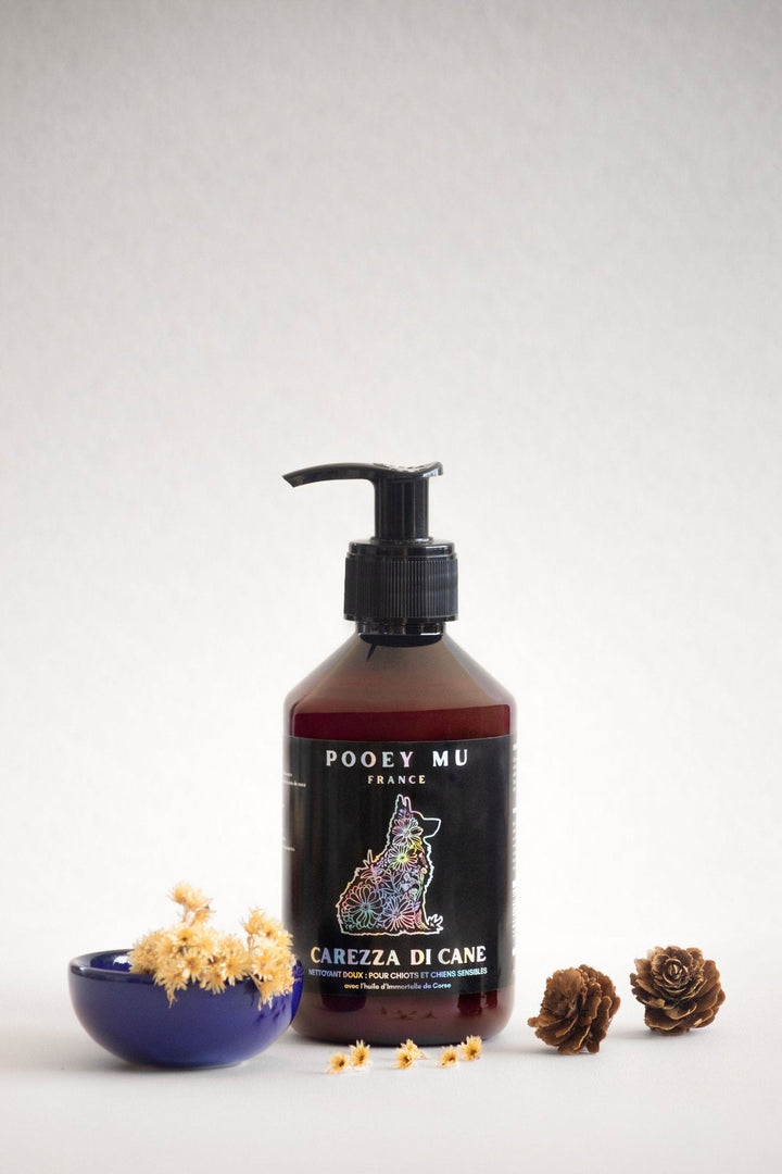 Immortelle for Dogs — Benefits, Safety, and Uses