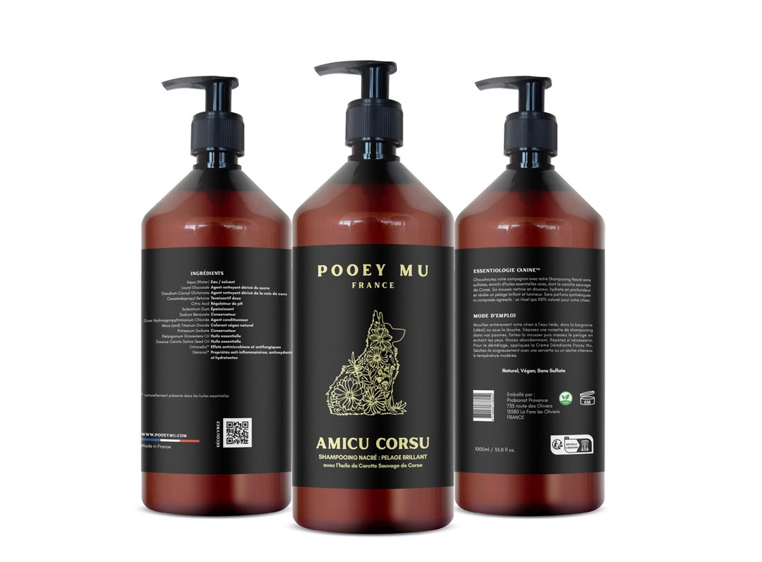 Amicu Corsu : Pearly Shampoo: Brilliant Coat