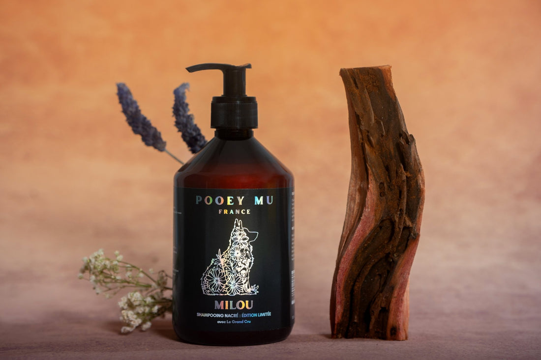 MILOU - Pearly Shampoo for Dogs, Limited Edition with "Le Grand Cru" - Pooey Mu