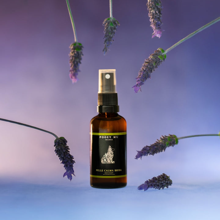 Pelle Calma Brisa: Brume Apaisante - Pooey Mu