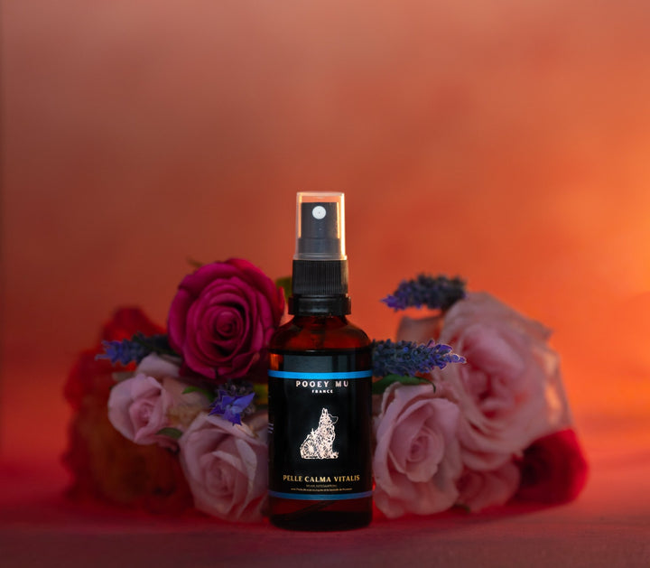 Pelle Calma Vitalis (Sore Joint Spray) - Pooey Mu